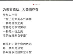 -罗红摄影艺术馆