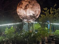 -恬阿姨庭院餐厅·生日宴