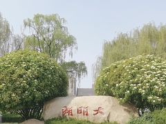 -济南大明湖景区