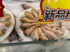 大堂-渔娘渔家丹东海鲜(东直门店)