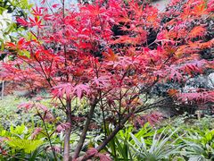 -大妙火锅·非物质文化遗产(东湖公园店)