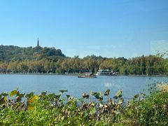 -湖畔居茶楼(湖滨店)