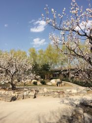 -大望京儿童游乐场