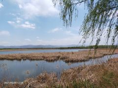 -野鸭湖国家湿地公园