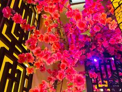 -今朝桃花醉川菜小酒馆(龙湖天街店)