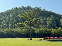 -顺峰山公园