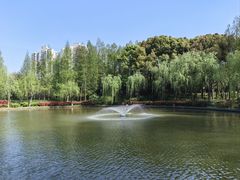 -黄兴公园
