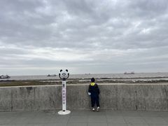 -南汇嘴观海公园
