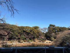 -东京国立博物馆