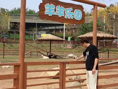 -盈香心动乐园