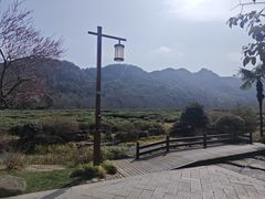 -中国茶叶博物馆(双峰馆区)