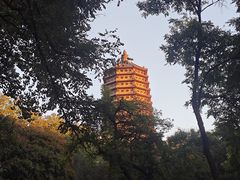 -玲珑塔公园