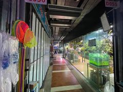 -朝来春花卉市场