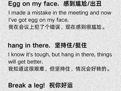 -引领英语·成人口语·雅思托福
