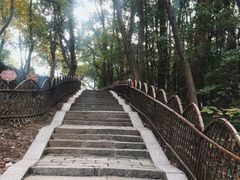 -灵岩山风景区
