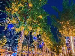 -合景·悠方(成都店)