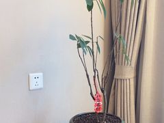 -古洼一锅鲜(开发区店)