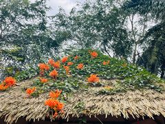 -海南热带野生动植物园