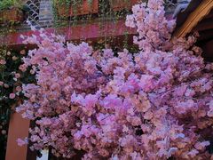 -胖子菜馆(花园餐厅店)