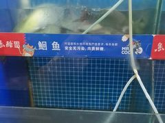 -鱼酷活鱼烤鱼(信息城店)