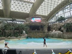 -杭州开元森泊度假乐园