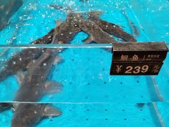 -艳阳天·非遗楚菜(武汉客厅店)