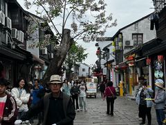-荣阳楼(山塘街店)