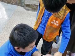 -上海大自然野生昆虫馆(东方明珠·爬宠昆虫探索中心)