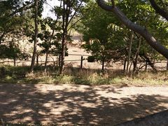 -北京麋鹿生态实验中心