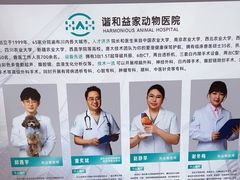 -谐和益家动物医院·免疫绝育·血液透析·宠保定点医院(高新伊藤分院)