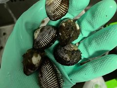 -盒马鲜生(红莲店)