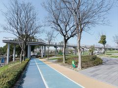 -葛仙湖公园