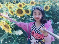 -奥林匹克森林公园南门-停车场