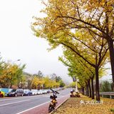 仙女山的秋天