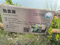 -广东惠东海龟国家级自然保护区