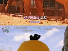 -昆明动物园