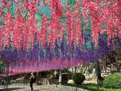 -北京十三陵国家森林公园蟒山景区