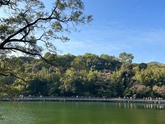 -广州市白云山风景名胜区