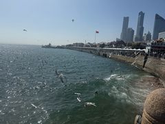 -前海沿·青岛菜(五四广场永旺店)