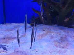 -多彩贵州城极地海洋世界