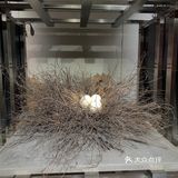 魔都探店｜这个未来世界也太酷了吧！快冲！