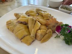 朱记白切鸡-朱仔记食府(江南大道店)