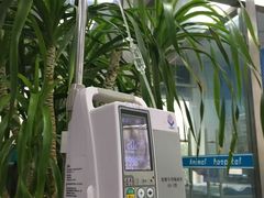 -邢大夫动物医院