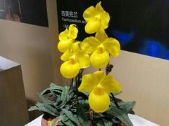 -北京植物园-展览温室