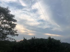 -老幺泉水鸡
