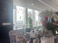 -马泷齿科·成都锦江置略马泷口腔门诊部(IFS国金中心店)