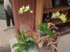 -二酉书店TOYOU BOOKS