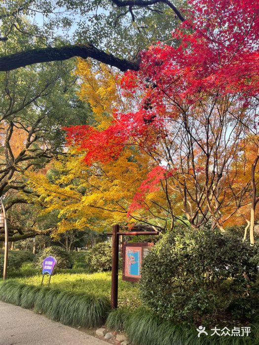 西湖外事游船(花港观鱼码头)图片