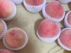 -老袁家蜜桃农场·阳山水蜜桃