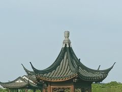 -春花秋色城市公园